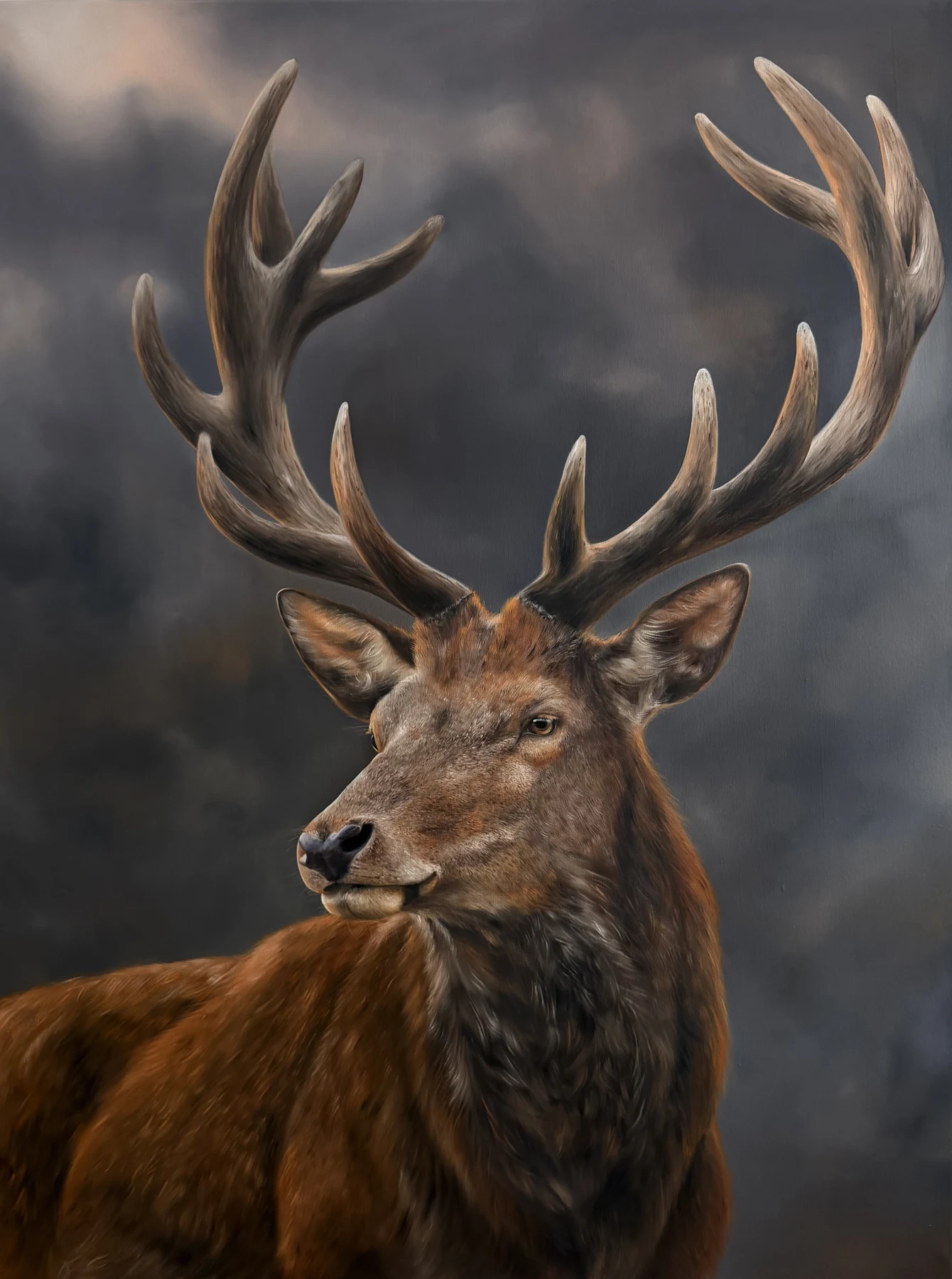 Crowned by Nature, Mooky’s painting of a stag with branching antlers